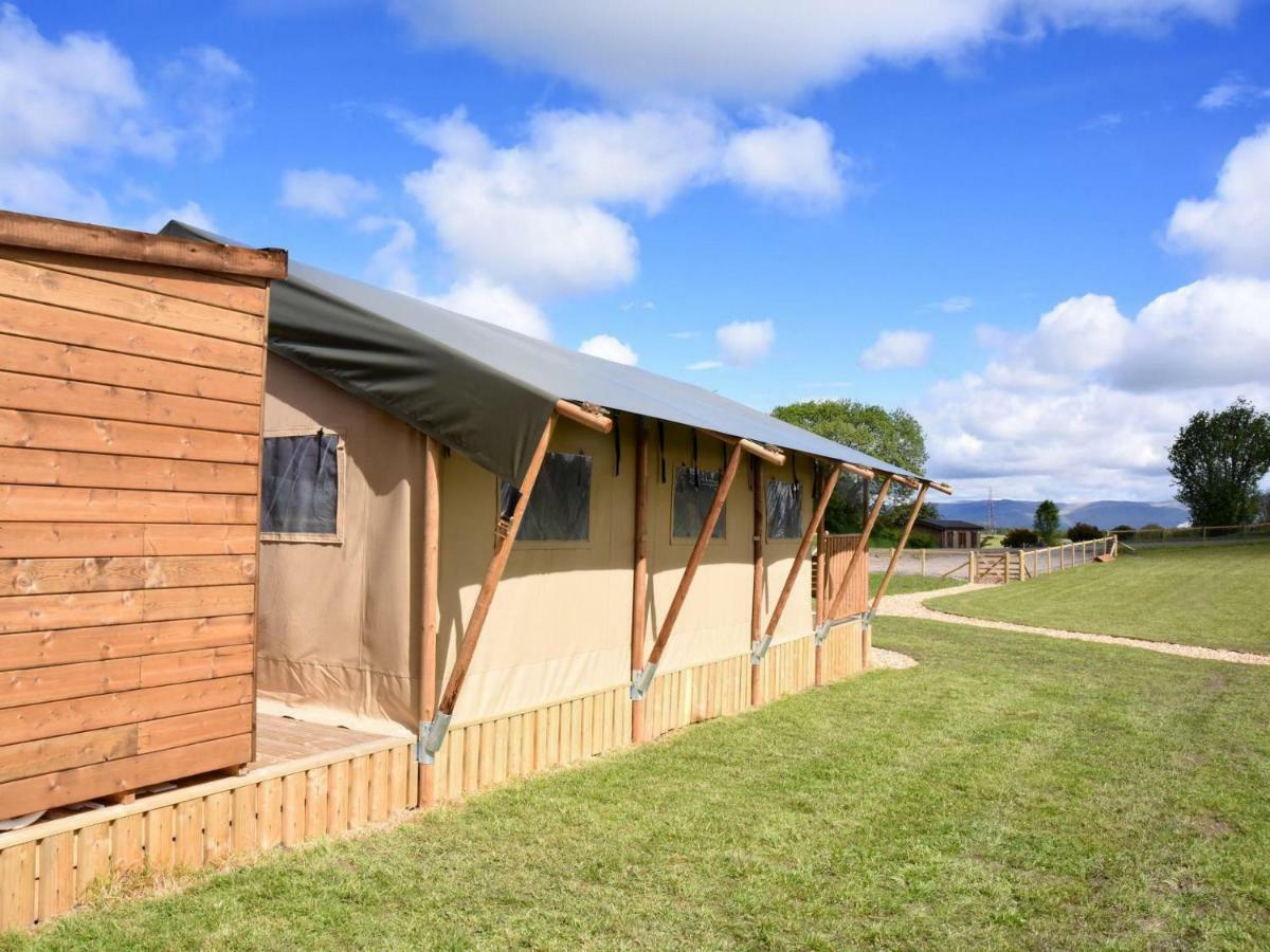Carr'S Hill Luxury Safari Tents Denny Exteriér fotografie